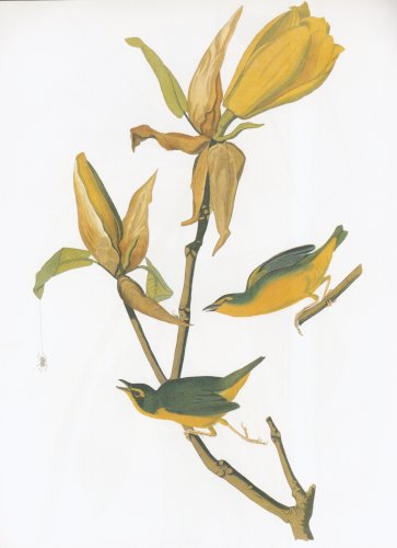 15.jpg (23073 bytes)
