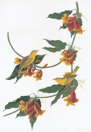 39.jpg (27700 bytes)