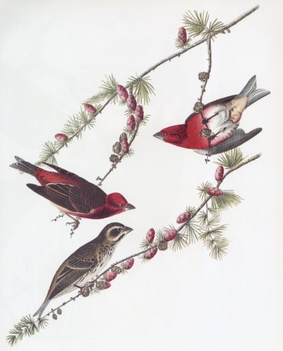 29.jpg (31008 bytes)