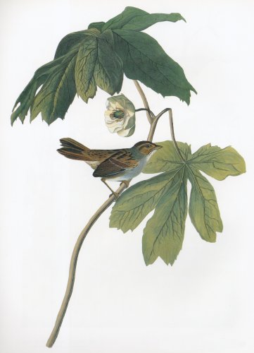 42.jpg (24652 bytes)