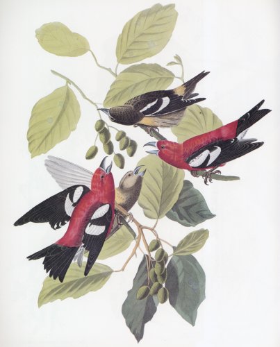 48.jpg (34798 bytes)