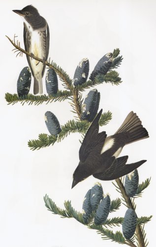 26.jpg (30635 bytes)