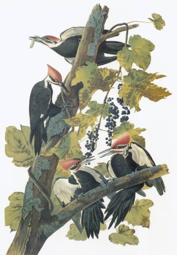 27.jpg (41491 bytes)