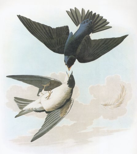 37.jpg (29420 bytes)