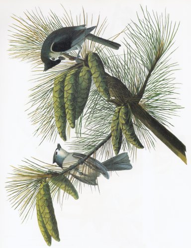 38.jpg (49707 bytes)