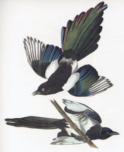 45.jpg (32265 bytes)