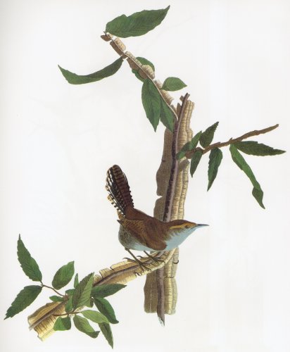 12.jpg (27386 bytes)