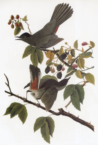 26.jpg (34180 bytes)